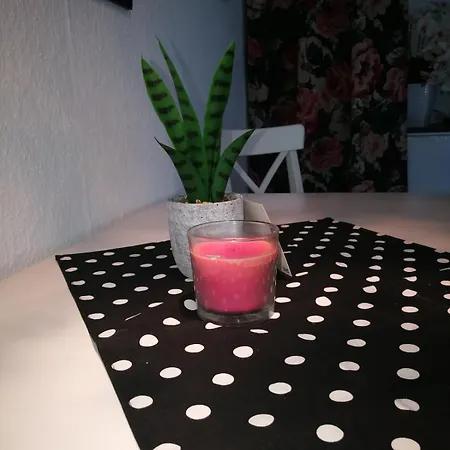 City Appartements Koethen